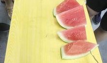 安静天天吃瓜,揭秘安静吃瓜的日常