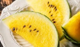 hazel臻吃瓜版,一场娱乐圈的狂欢盛宴