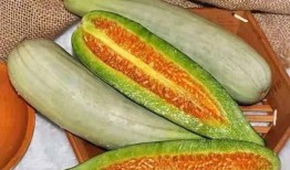 hazel臻吃瓜版,一场娱乐圈的狂欢盛宴