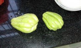 吃兔儿瓜好吗,探索兔儿瓜的营养价值与食用益处