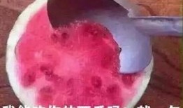 吃瓜弥勒,揭秘佛界美食传奇