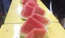 安静天天吃瓜,揭秘安静吃瓜的日常