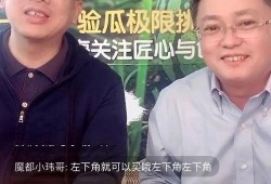 济南吃瓜直播,一场味蕾与娱乐的盛宴