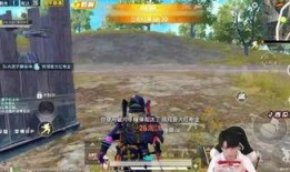 吃瓜和平精英外挂,外挂事件背后的真相与反思