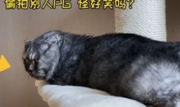 躺着吃瓜的危害,健康隐患不容忽视