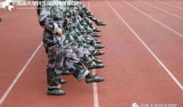 军事吃瓜哥