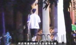 某吃瓜观众作品,揭秘吃瓜群众眼中的娱乐圈风云录