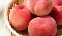 吃瓜的桃桃,揭秘娱乐圈那些事儿