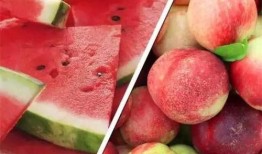 hazel臻吃瓜版,一场娱乐圈的狂欢盛宴