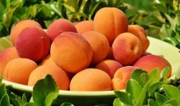 吃瓜的桃桃,揭秘娱乐圈那些事儿