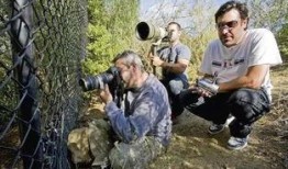 狗仔在线吃瓜,揭秘娱乐圈幕后真相