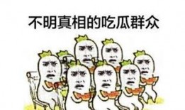 康康吃瓜群众,揭秘娱乐圈幕后真相