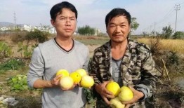 吃瓜群众蚌埠,吃瓜群众眼中的城市风采